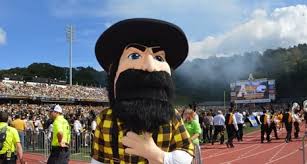 yellow gold Yosef.jpg